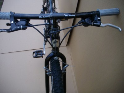 STX PLUS ALIVIO.jpg