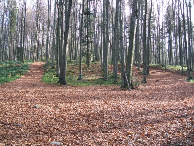 DSCF2208.JPG