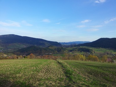 20131020_153251.jpg