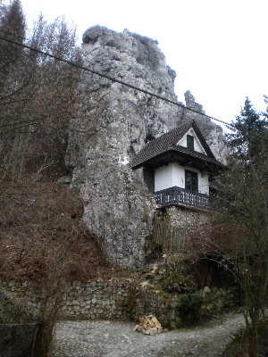 DSCN4716_resize.JPG