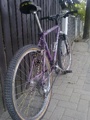 Obraz 042.jpg