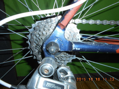 DSCN0781.JPG