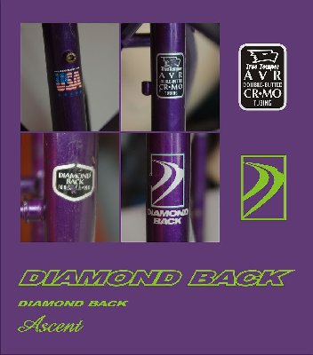 diamond back folia.jpg