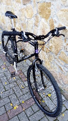 IMG_20170911_131038.jpg