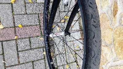 IMG_20170911_131058.jpg