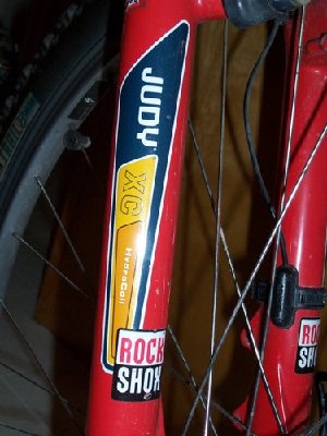 judy xc 1999.jpg (39.92KiB)Przejrzano 5680 razy judy xc 1999.jpg