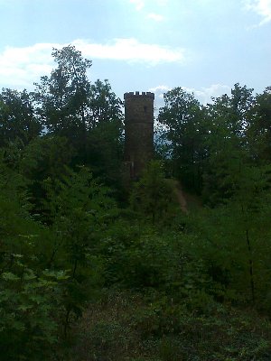 Zdjęcie0300.jpg