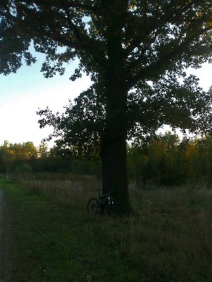 Zdjęcie0442.jpg