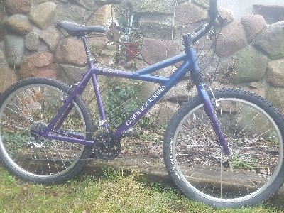 cannondale delta v.jpg